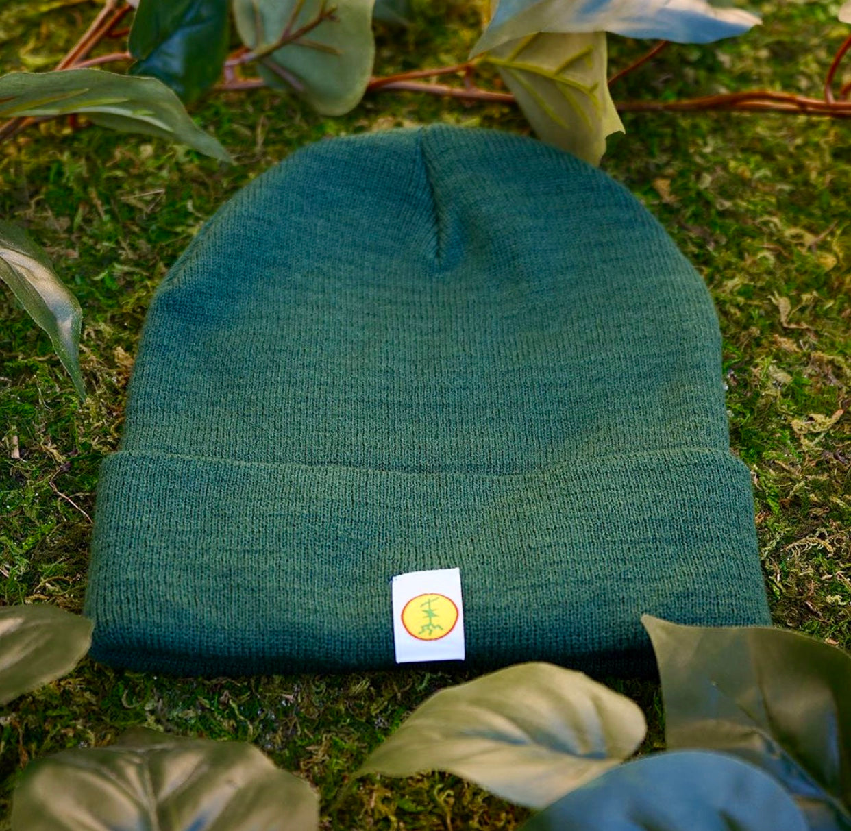 ¡Rooted in Money Beanie! (Forest Green)
